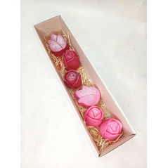 Dlouhá kazeta tulipán, růžová, červená