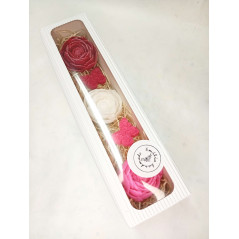 Dlouhá kazeta pivoňka, motýl, červená, bílá, růžová