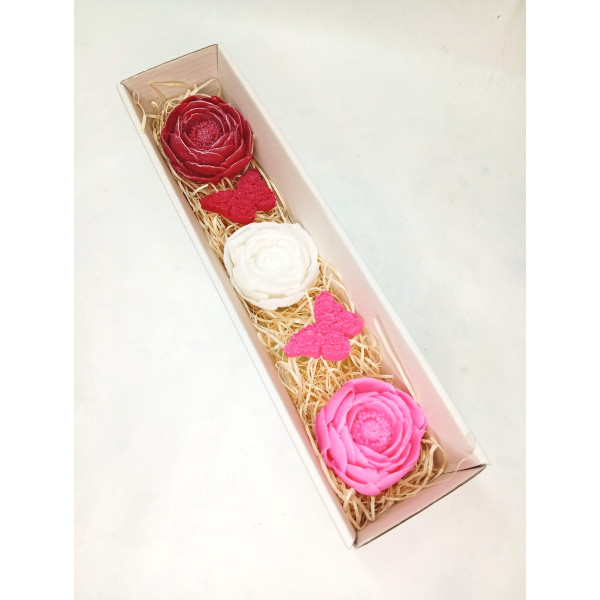 Dlouhá kazeta pivoňka, motýl, červená, bílá, růžová