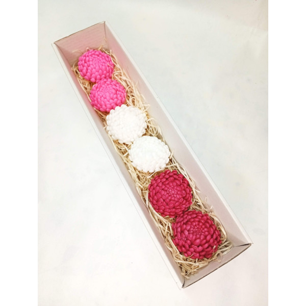 Dlouhá kazeta Chryzantéma malá, červená, růžová, bílá