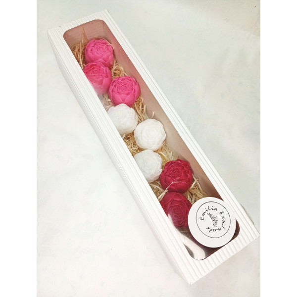 Dlouhá kazeta pivoňka poupě, červená, růžová, bílá