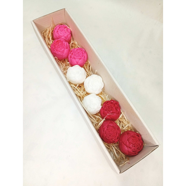 Dlouhá kazeta pivoňka poupě, červená, růžová, bílá