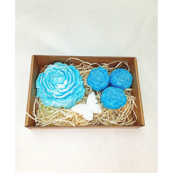 Střední kazeta pivoňka plná, pivoňka poupě, motýlek, modrá