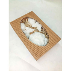 Střední kazeta Pivoňka plná, motýlek, pivoňka poupě, bílá