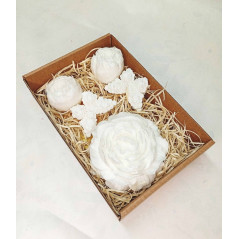 Střední kazeta Pivoňka plná, motýlek, pivoňka poupě, bílá