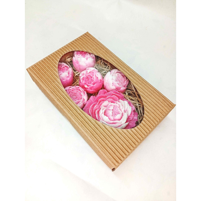 Střední kazeta pivoňka plná, pivoňka poupě, růžovobílá