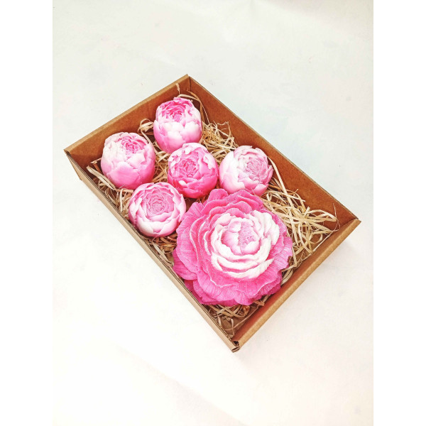 Střední kazeta pivoňka plná, pivoňka poupě, růžovobílá