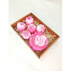 Střední kazeta pivoňka plná, pivoňka poupě, růžovobílá