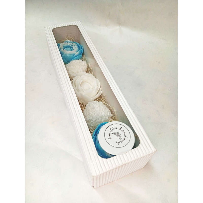 Dlouhá kazeta pivoňka rozkvetlá, srdíčko, modrá, bílá