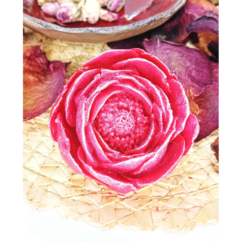 Mýdlová pivoňka rozkvetlá, červená