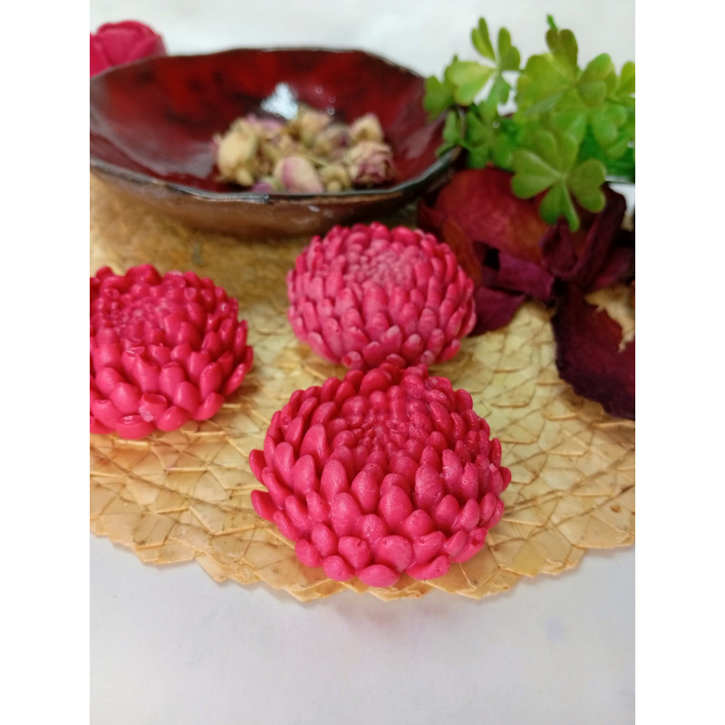 Mýdlová chryzantéma - červená