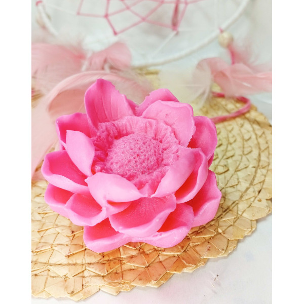 Mýdlová pivoňka - velká, růžová