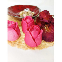 Mýdlový tulipán - plný, červený