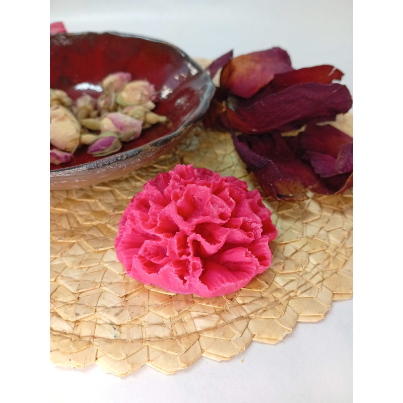 Mýdlový karafiát - červený