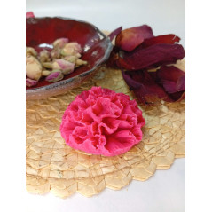 Mýdlový karafiát - červený